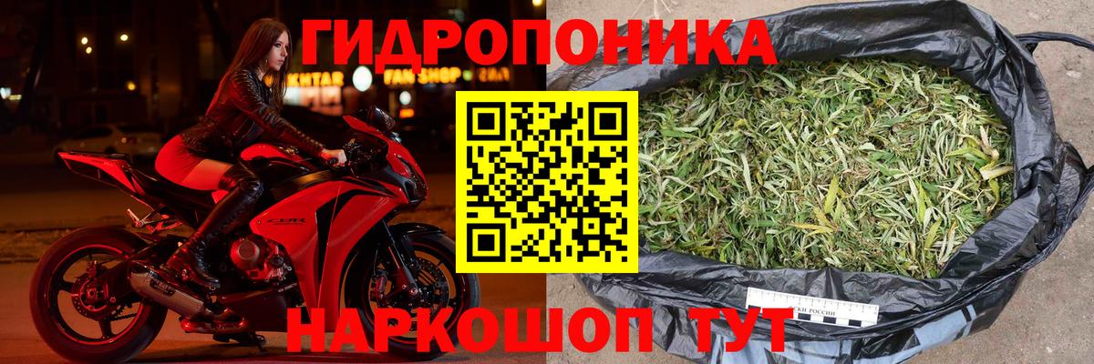 МАРИХУАНА конопля Соликамск